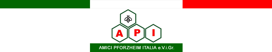 API 2020 e.V. i.Gr - Amici Pforzheim Italia